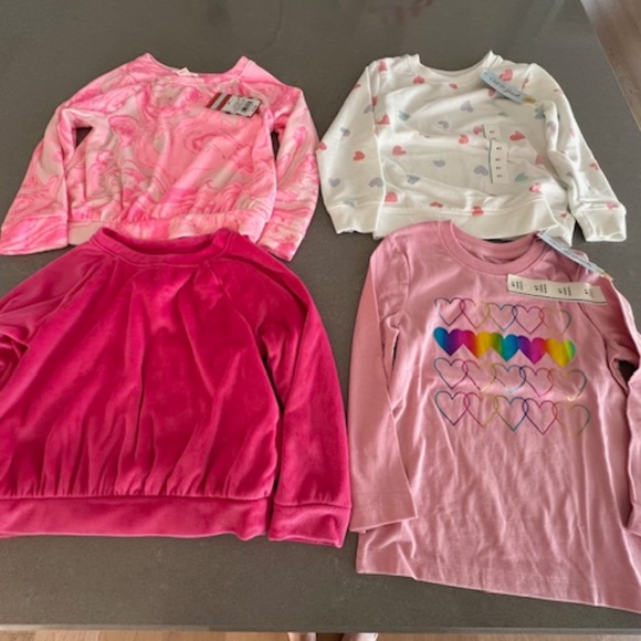 4 New (3 NWT and 1 NWOT) Cat & Jack 4T Long Sleeve Girl Shirts Bundle 4 Years - Picture 1 of 2